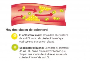 Colesterol-LDL