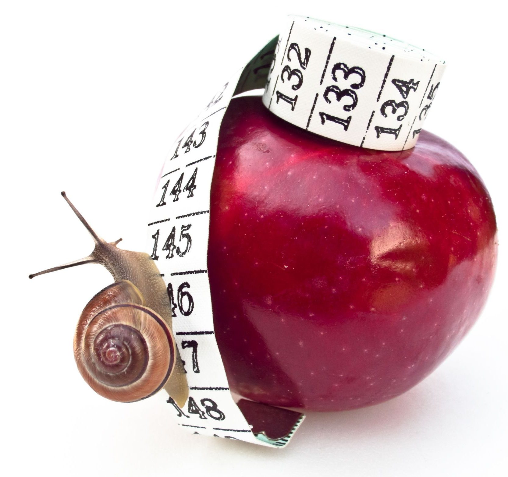 6300373 - a snail climbing up an apple by a tape measure. health concept.