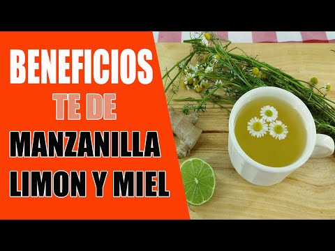 manzanilla con limon adelgaza